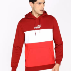 Puma ESS+ Colorblock Hoodie FL 58791722 https://mastersportdz.store original Algerie DZ