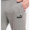 ensemble Puma ESS Small Logo Crew FL 58668203 https://mastersportdz.store original Algerie DZ