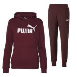 Ensemble ADULTS PUMA ESS Logo FL Aubergine 58678950 https://mastersportdz.store original Algerie DZ