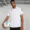 Polo PumaTeam LIGA Sideline pour Hommes 65725703 https://mastersportdz.store original Algerie DZ