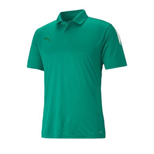 Polo PumaTeam LIGA Sideline pour Hommes 65725703 https://mastersportdz.store original Algerie DZ