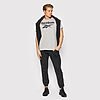 T-shirt Reebok GRAPHIC HD4219 https://mastersportdz.store original Algerie DZ