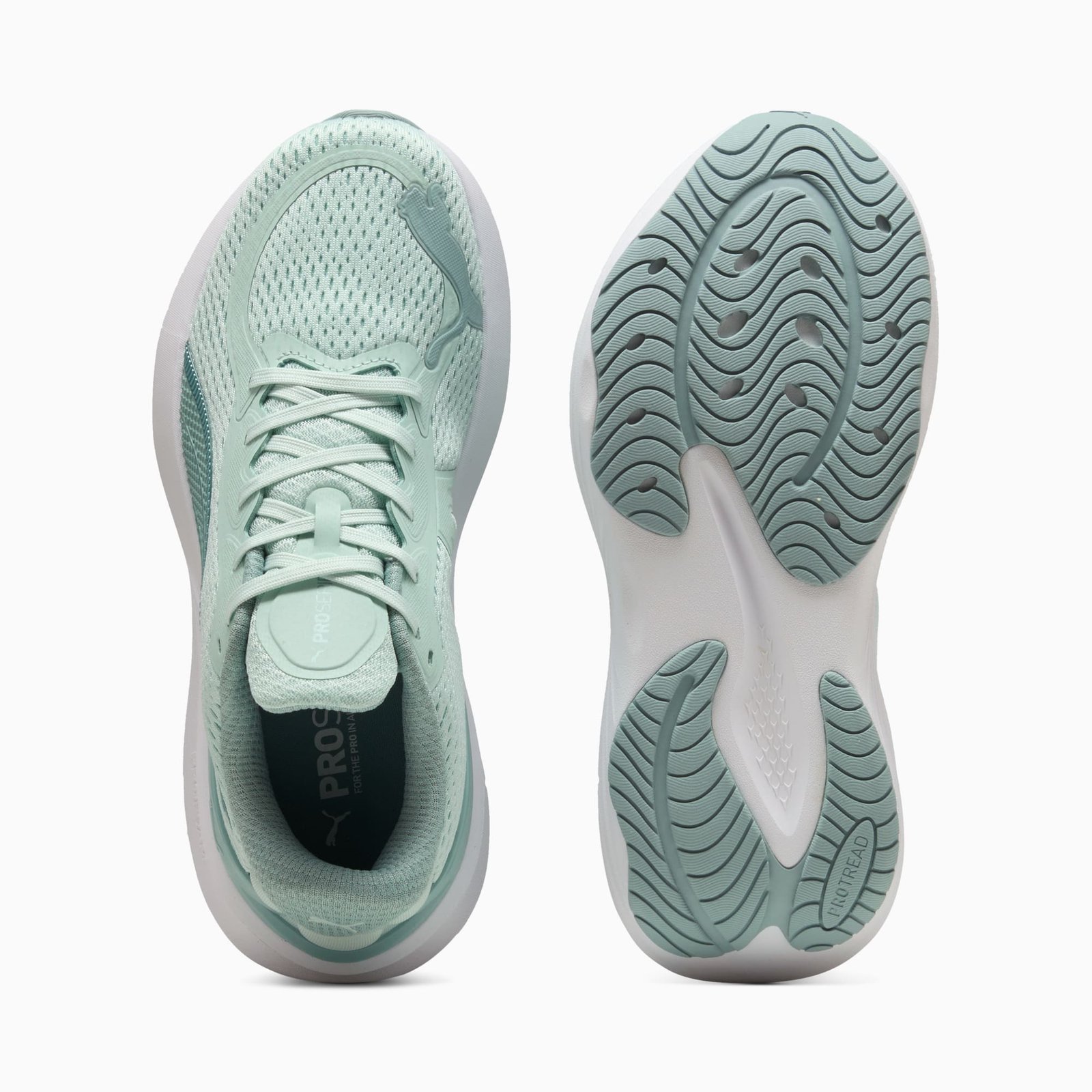 Chaussures Running Puma Scend Pro 2 Unisexe 31077911 https://mastersportdz.store original Algerie DZ Chaussures Running Puma Scend Pro 2 Unisexe 31077911 https://mastersportdz.store original Algerie DZ