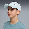 Casquette Puma Essentials Metal Kids 02685403 https://mastersportdz.store original Algerie DZ Casquette Puma Essentials Metal Kids 02685403 https://mastersportdz.store original Algerie DZ